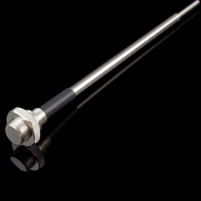 Capteur de température NTC en résine époxy pour la mesure de température précise dans l'industrie